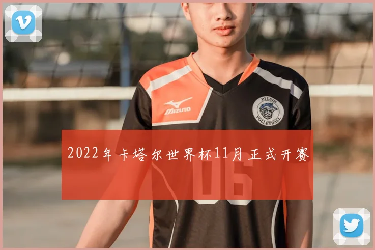 2022年卡塔尔世界杯11月正式开赛