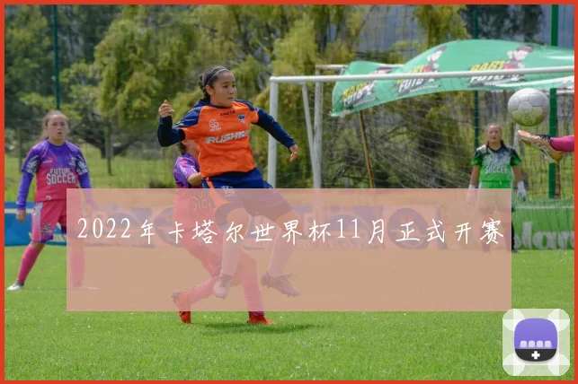 2022年卡塔尔世界杯11月正式开赛