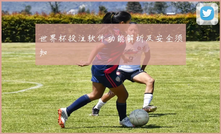 世界杯投注软件功能解析及安全须知