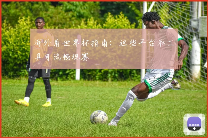 海外看世界杯指南:这些平台和工具可流畅观赛