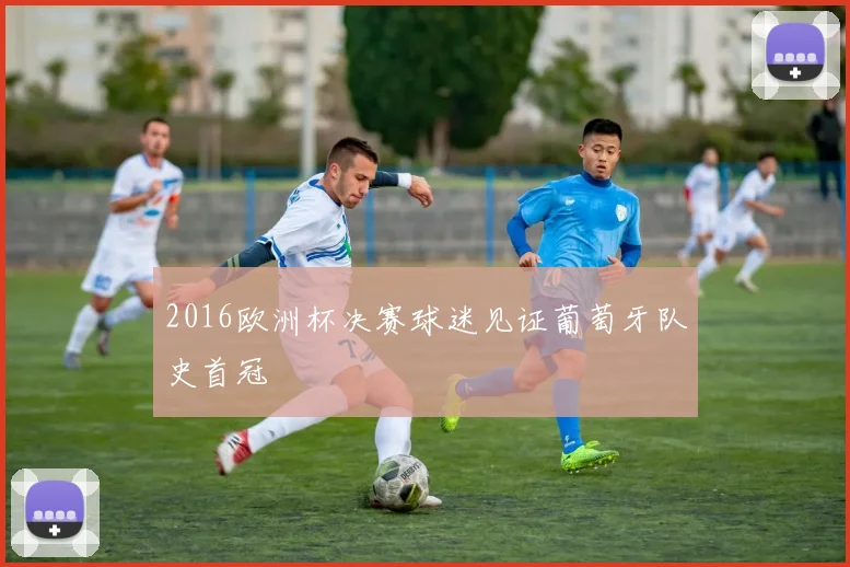 2016欧洲杯决赛球迷见证葡萄牙队史首冠