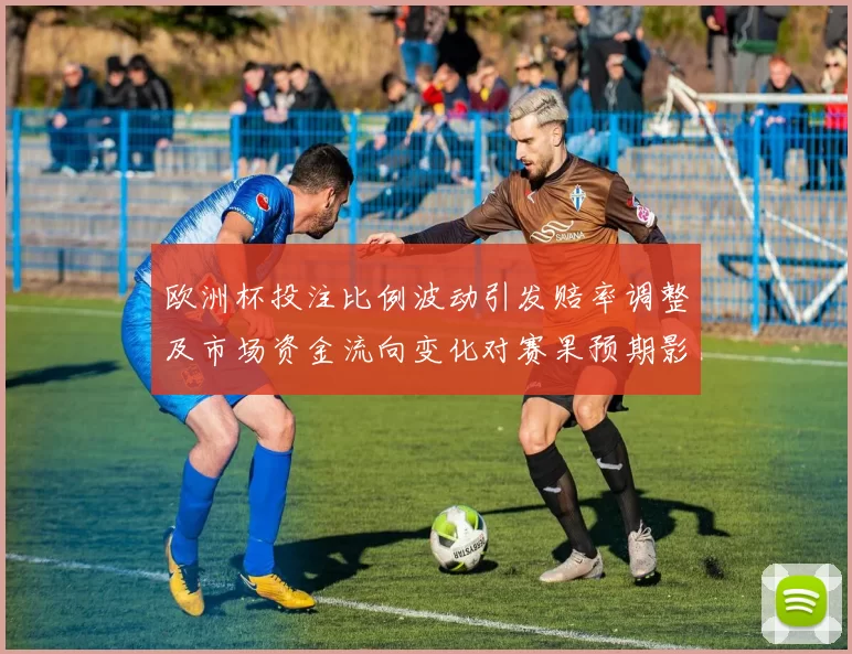 欧洲杯投注比例波动引发赔率调整及市场资金流向变化对赛果预期影响