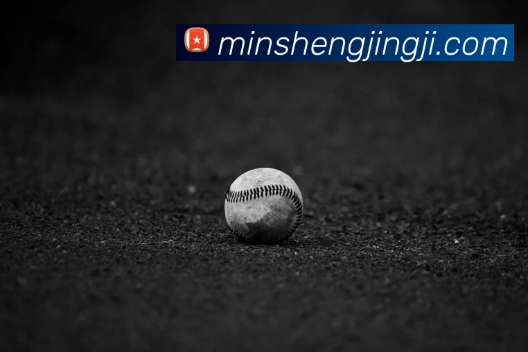 九游官方体育入口平台生态图