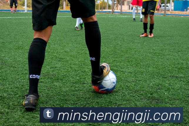 三亿体育网页版登录入口(China)官方网站发展历程